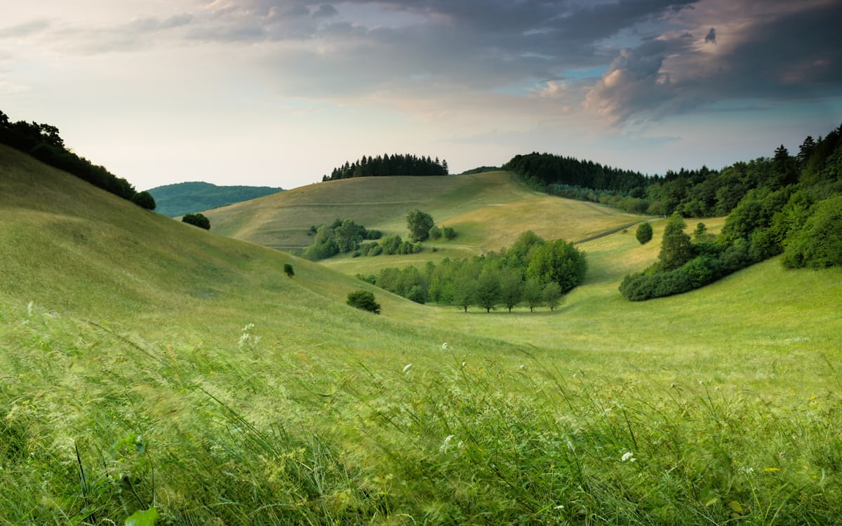 Mazury — jeziora i lasy
